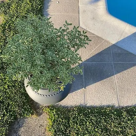 Casa De Alventela - Countryside House فيلة Paredes de Viadores